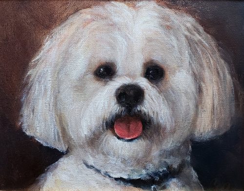 oil painting pet portrait